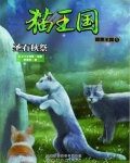 猫武士暗黑王国7
