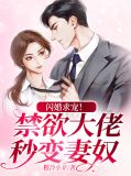 闪婚成瘾,大佬甜妻宠上天