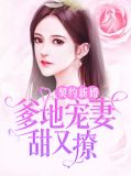 总裁爹地契约妻下载